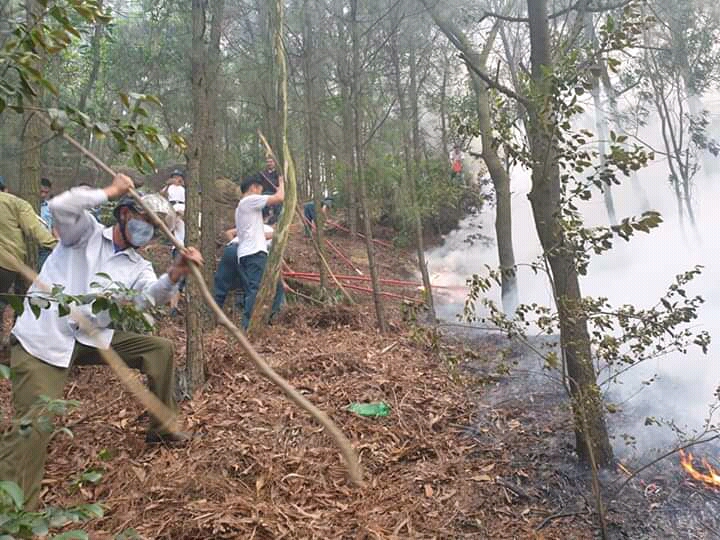 Gần 200 cán bộ, chiến sĩ tham gia chữa cháy rừng

